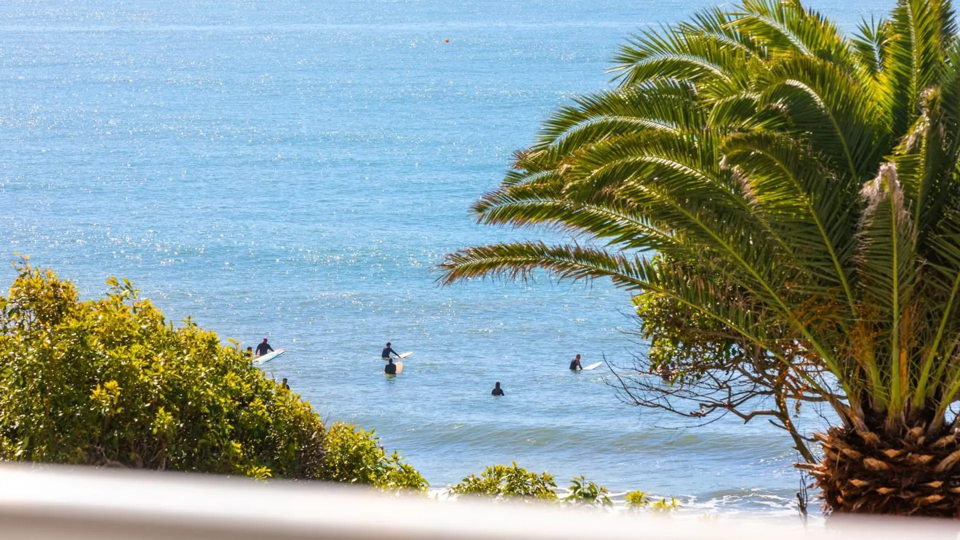 Newly Renovated Beach Front Unit. Views To Die For! Alexandra Headland 0*,
